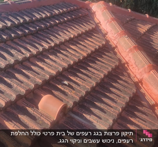רעפים חומים על גג עם קצה אדום